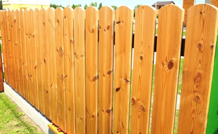 Best Wood For Fences Ultimate Design Guide