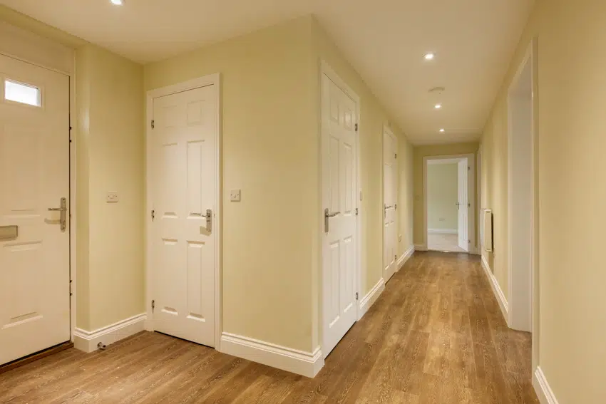 Hallway with wooden floors, white doors, and ceiling lights