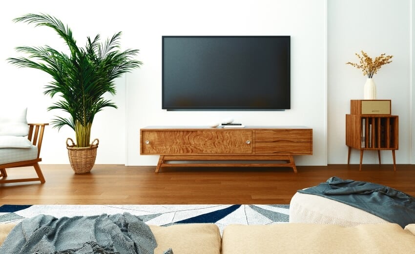 Room with wood furniture, indoor plants, and TV mounted on white wall