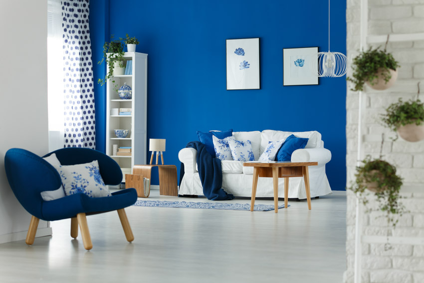 Living room with lots of natural light, blue wall, chair, sofa, and indoor plant