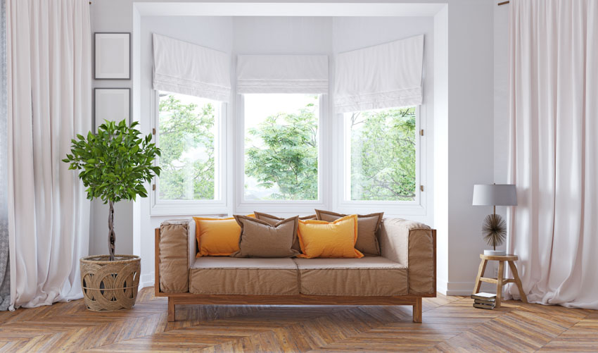 Couch with yellow and brown cushions, potted plant and lampshade