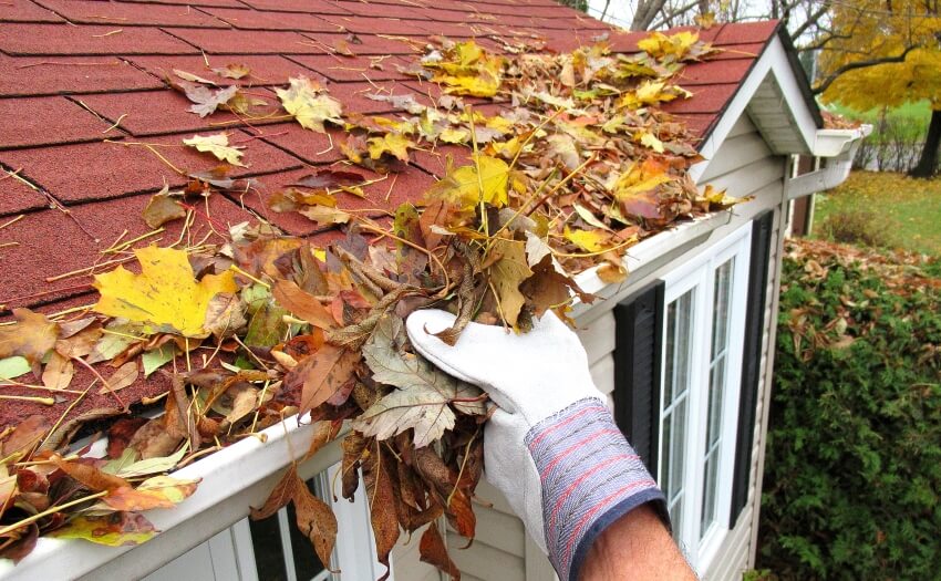 Man cleaning leaves from roof and gutter