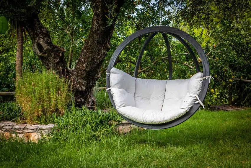 Outdoor area with an egg chair hanging from a tree