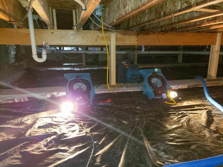 Removal of mold in crawl spaces