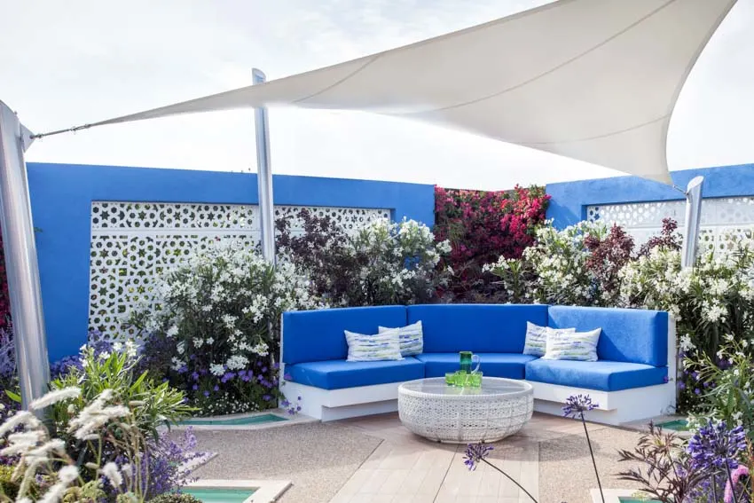 Terrace garden with blue wall, couch, shaded area, plants, and flowers