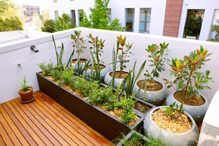 Terrace Garden Ideas (Layouts & Designs)