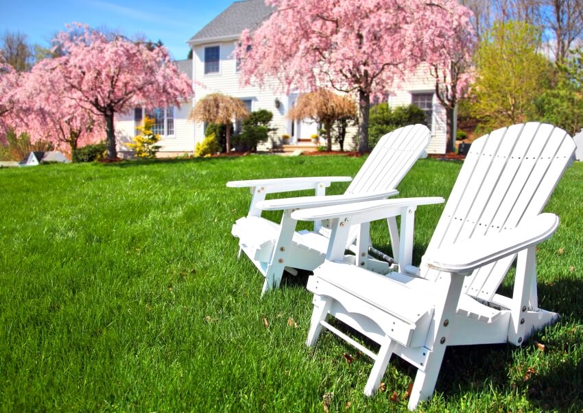 White adirondack chairs in front of a white house with cherry blossom trees
