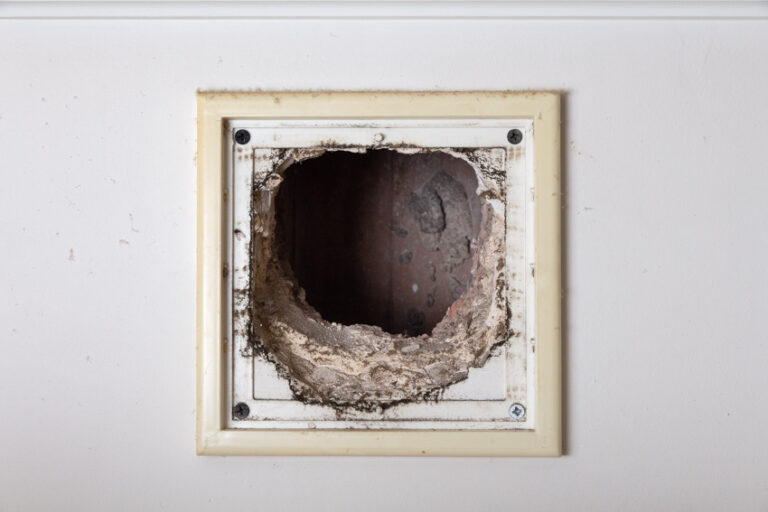 Mold In Air Ducts (Types & How to Get Rid Of Mold)