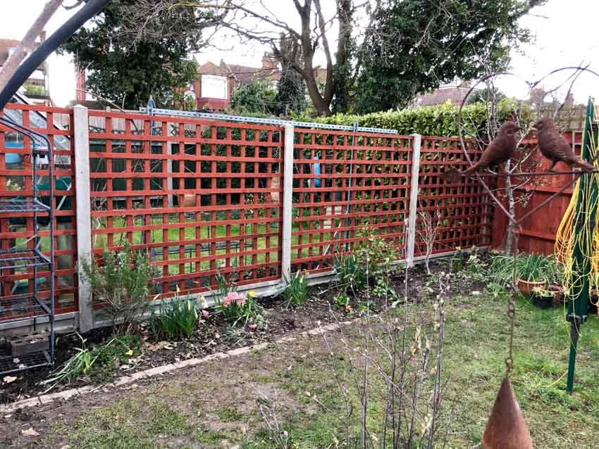 Backyard area with red trelis fence made of wood