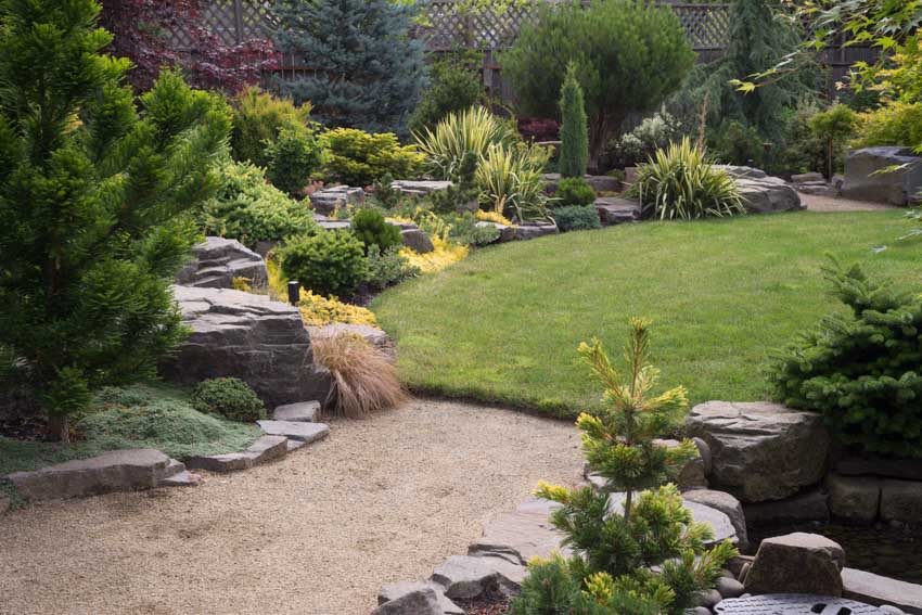 Backyard garden with sand landscaping, grassy areas, plants, rocks, and small trees