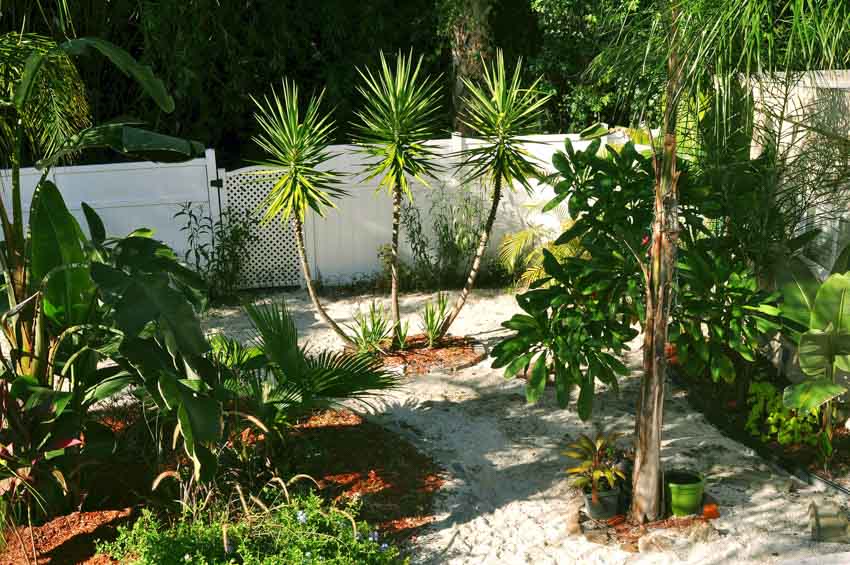 Backyard garden with sand, plants, and small trees