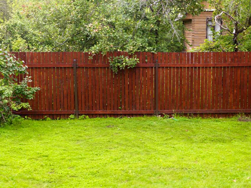 Backyard with grassy area, and redwood fencing