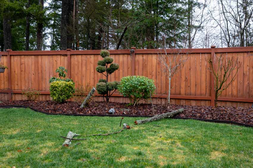 Backyard with fencing and small trees