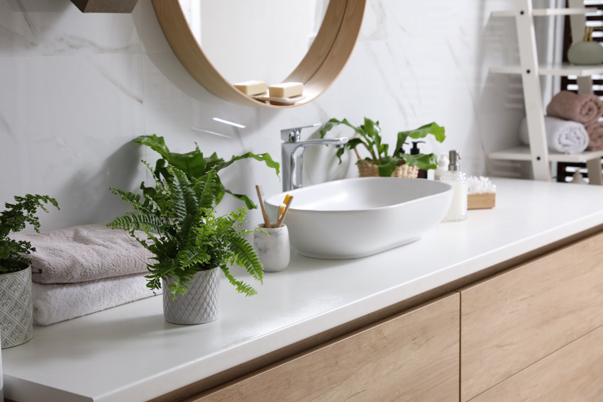 Bathroom vanity with countertop, sink, mirror, indoor plants, and faucet