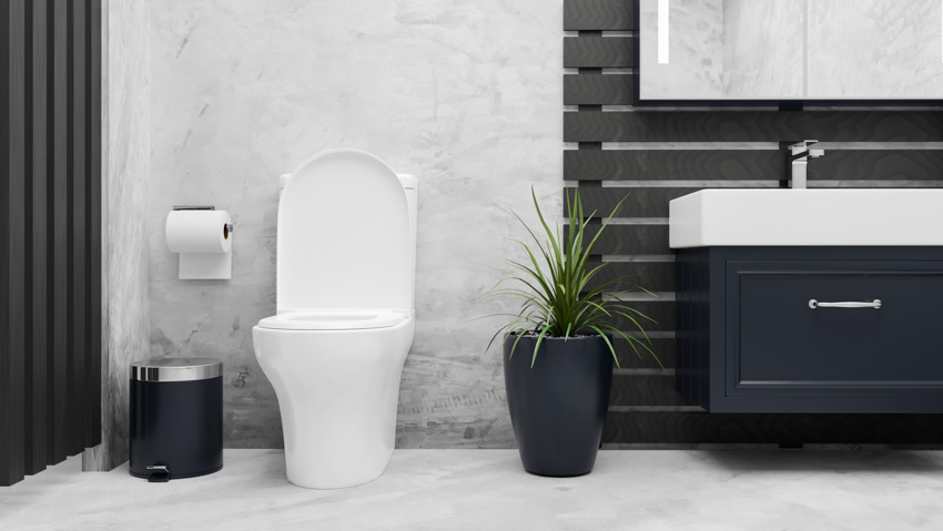 Bathroom with toilet, trash can, tissue holder, mirror, indoor plant, sink, and faucet