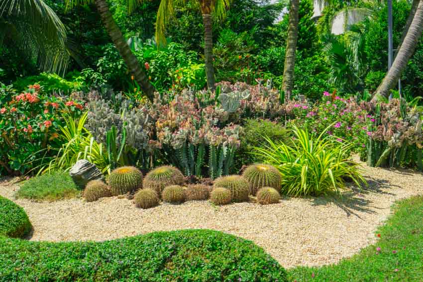 Beautiful gravel garden with various types of flowers plants and trees