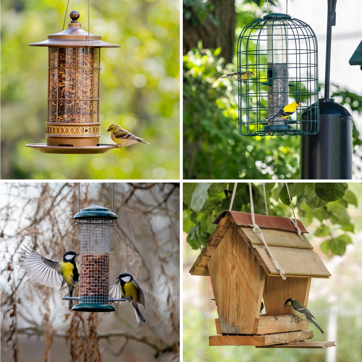 different types of bird feeders