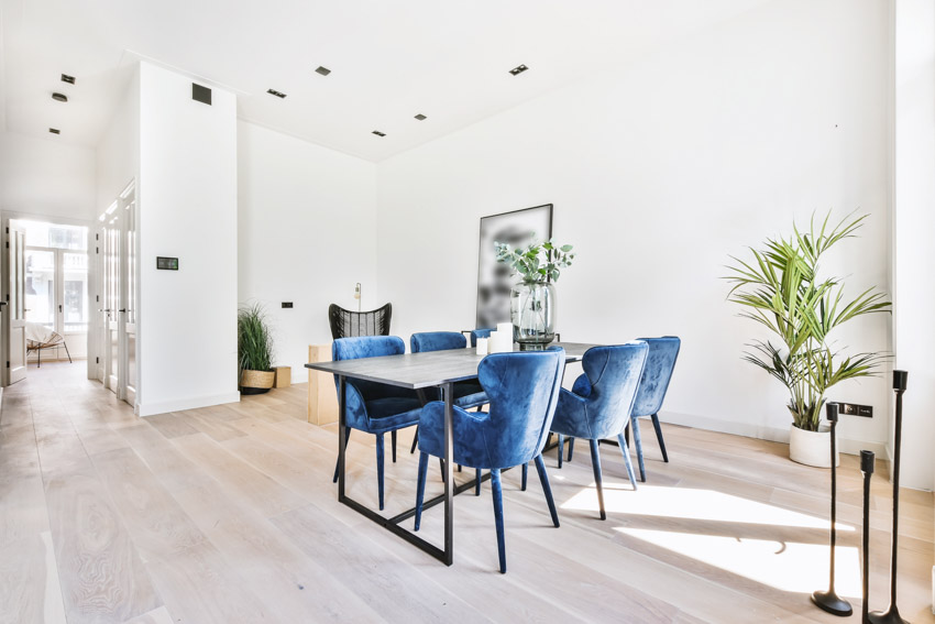 Dining room with minimalist table, blue chairs, tile flooring, white walls, and indoor plants