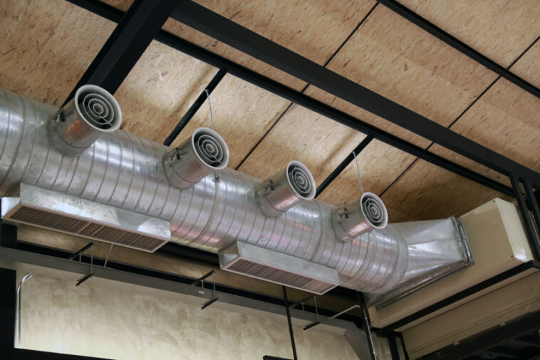 Mold In Air Ducts (Types & How to Get Rid Of Mold) - Designing Idea