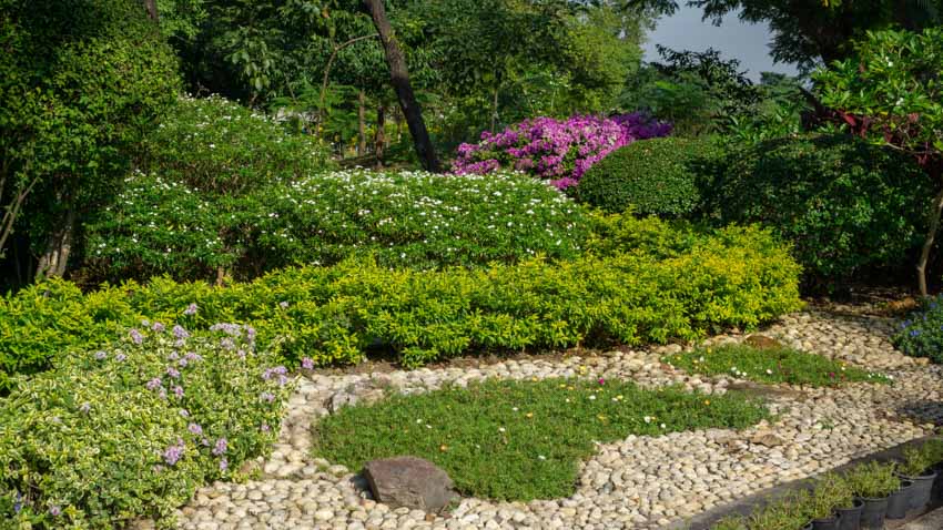 Gravel garden filled with bushes and different types of flowers
