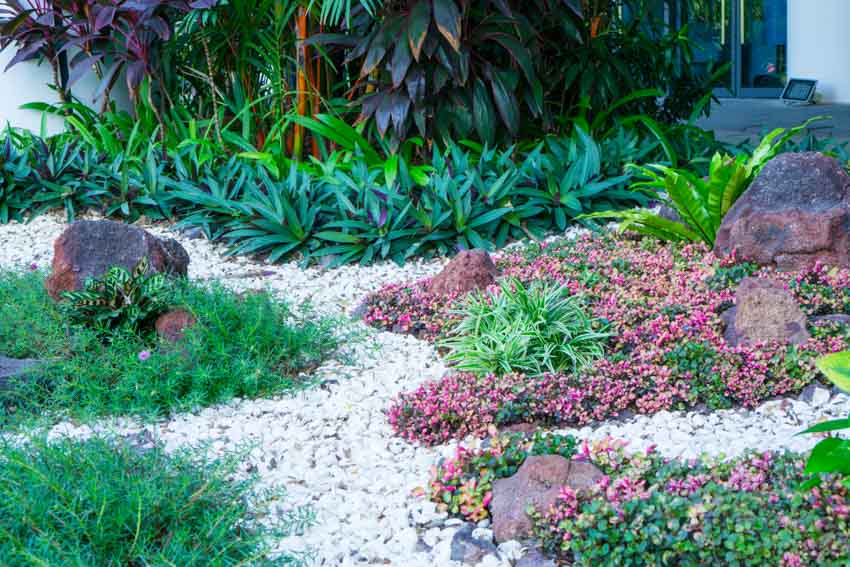 Gravel garden with different types of flowers and plants in it