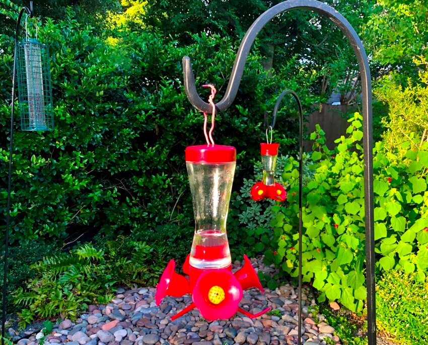 Humming bird feeder with green bushes and rock landscape