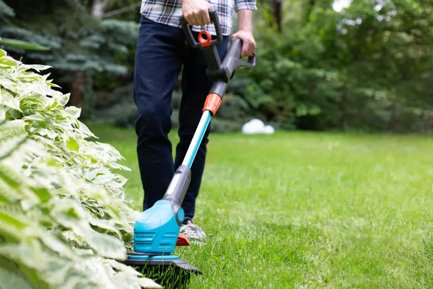 Person cutting grass with electronic lawn mower