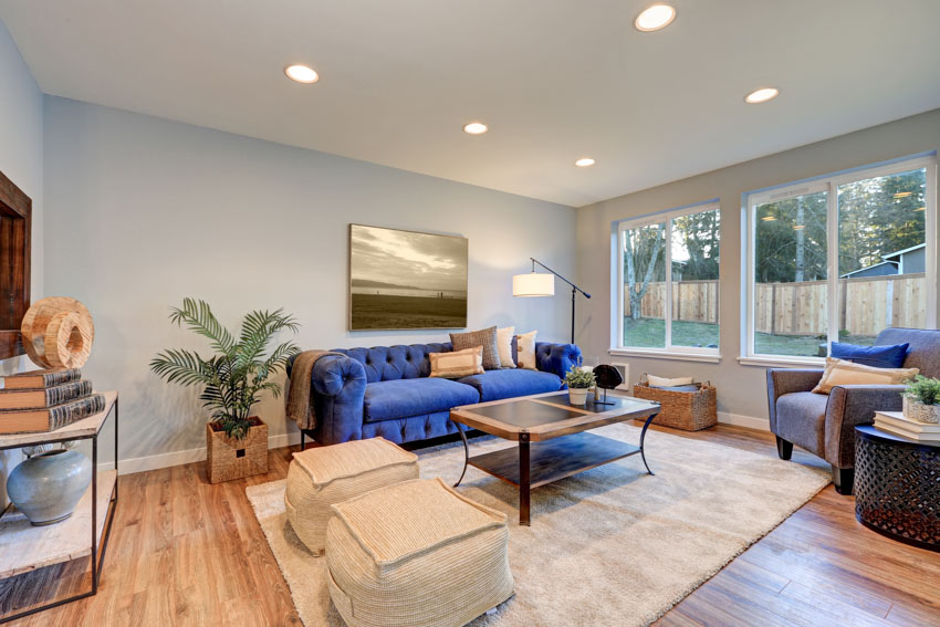 Room with blue couch, coffee table, rug, indoor plant, ottoman and window