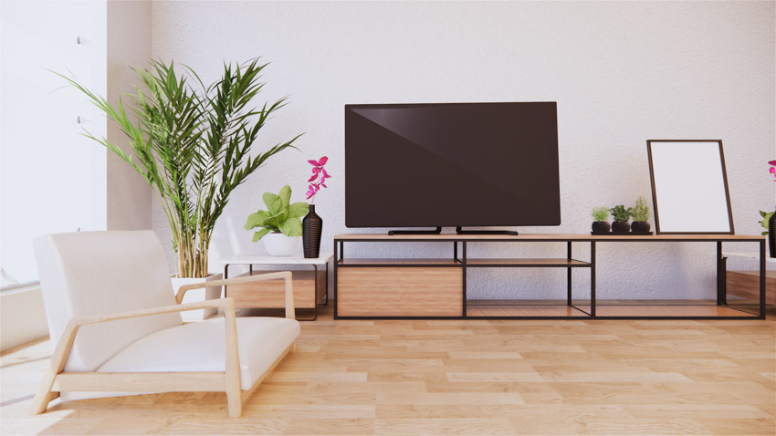 Living room with classy couch, wood floor, indoor plant, television, and TV stand