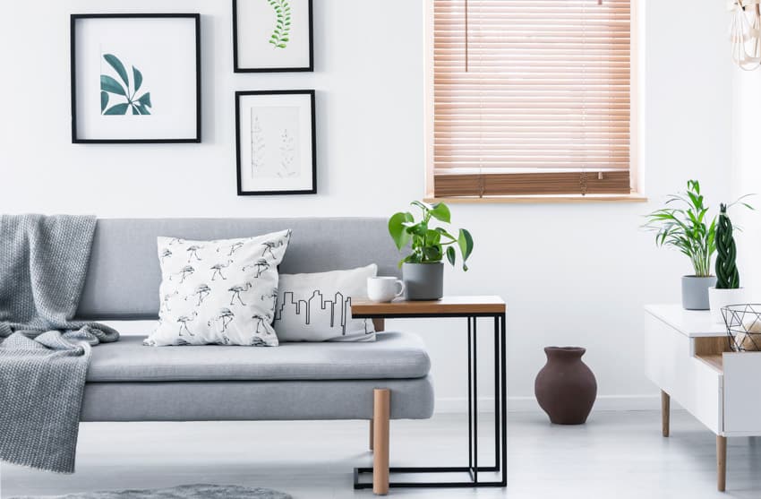 Living room with end table, gray cushioned couch, indoor plants, and window blinds