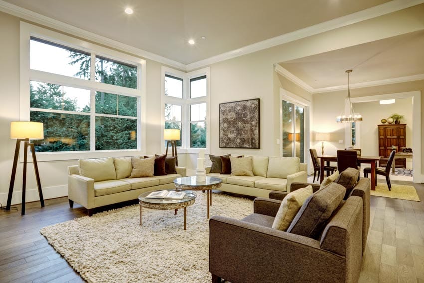 Living room with floor rug, coffee table, lamp, triple pane windows, couches, and dining area