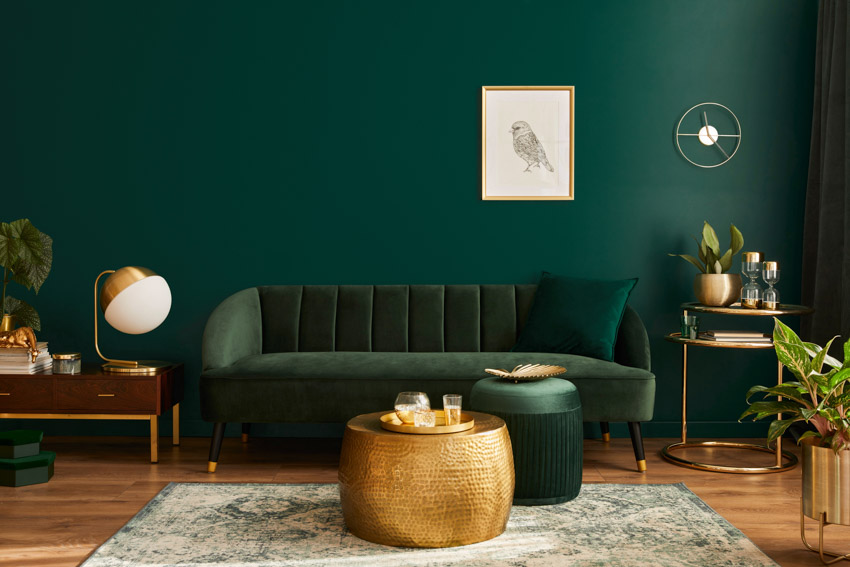 Living room with green wall, couch, rug, wood floor, indoor plant, and gold drum table