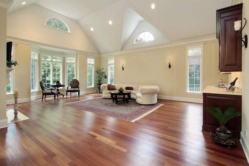 Living room with pecan wood flooring, ceiling lights, chairs, indoor plants, and windows