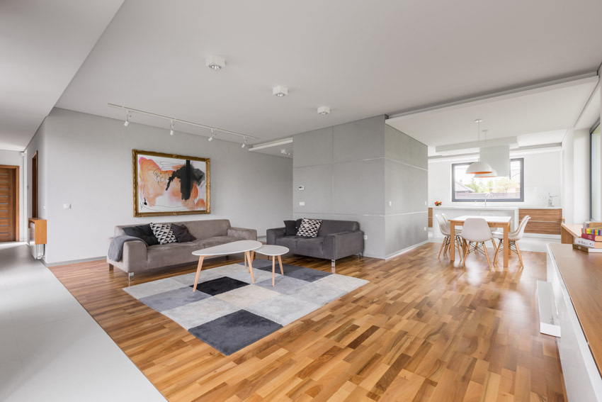 Room with grey walls, flush lighting, geometric area rug and two-toned sofa