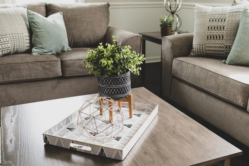 Wooden table with plant in room