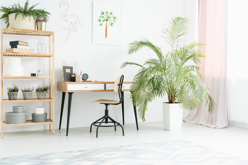 Minimalist home office with desk table, chair, indoor plants, and pink window curtain
