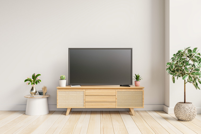 Minimalist living room with TV stand, wood floor, indoor plant, and television