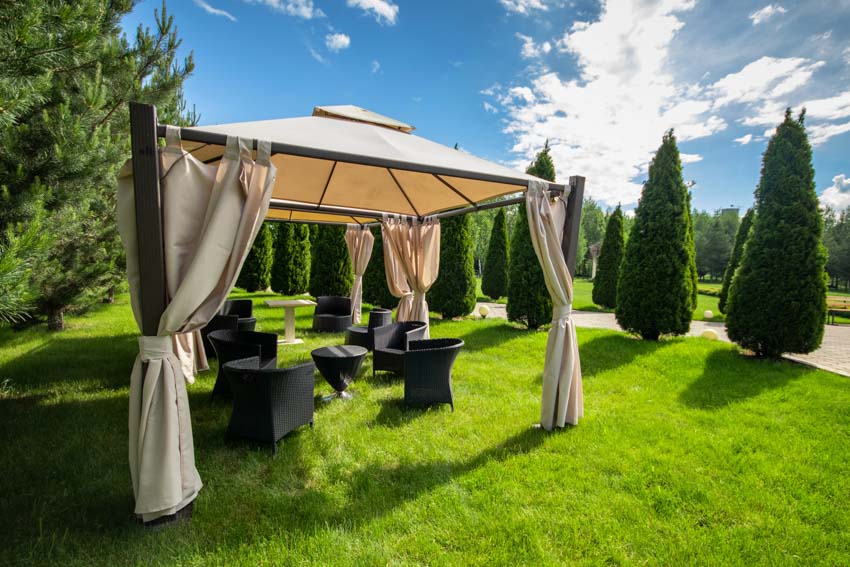 Outdoor area with canopy tent, chairs, hedge trees, and a small table