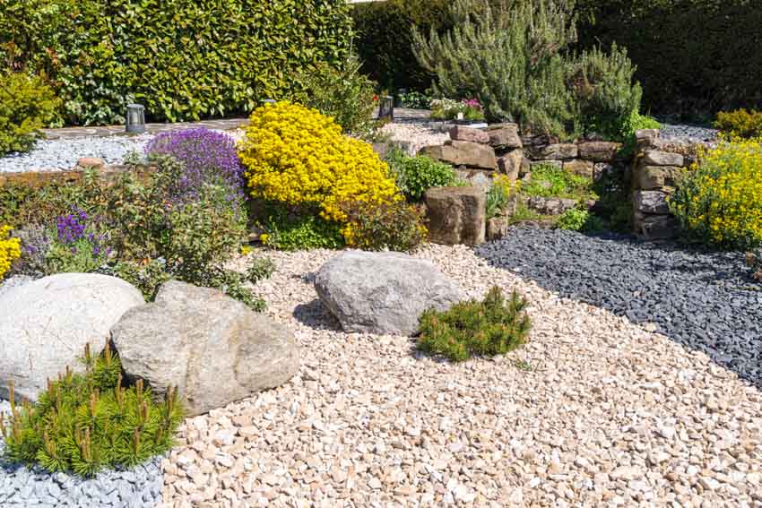 Garden with large boulder rocks and lavender and yellow flowers