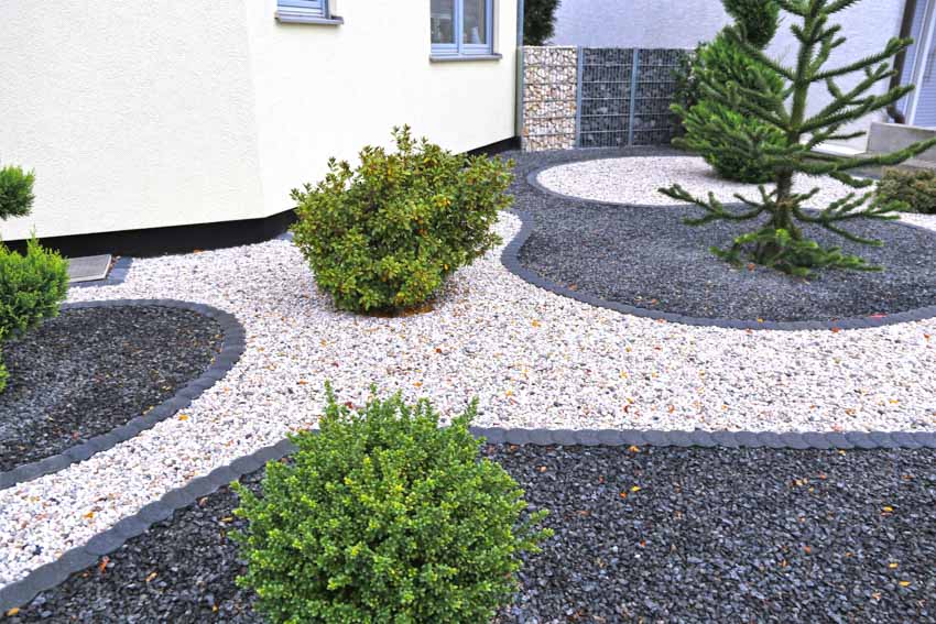 Outdoor area with beautiful gravel garden and plants