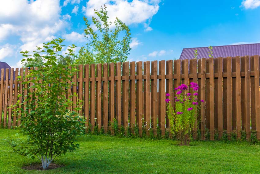 Outdoor area with redwood fence, small tree, and flowers