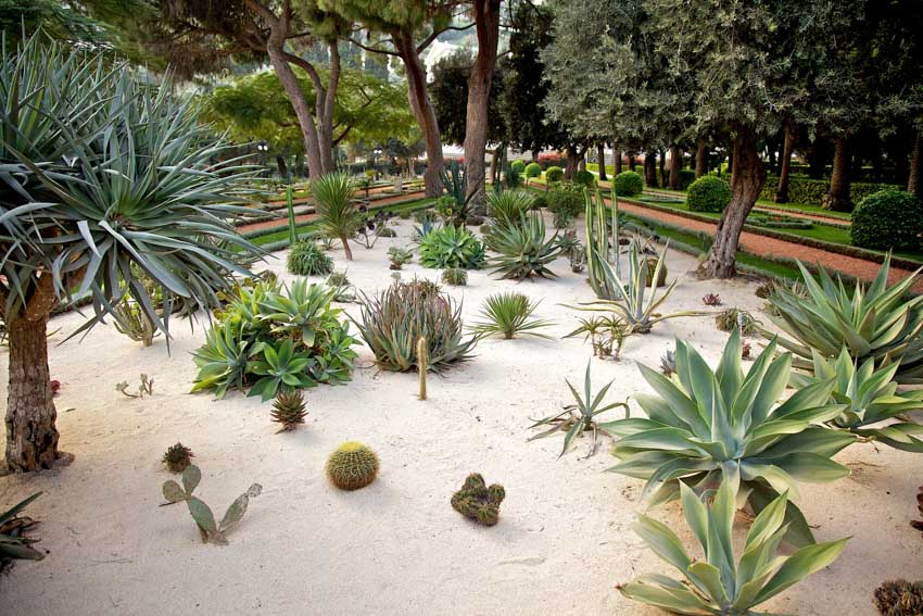 Outdoor area with sand landscapes filled with plants, and small trees