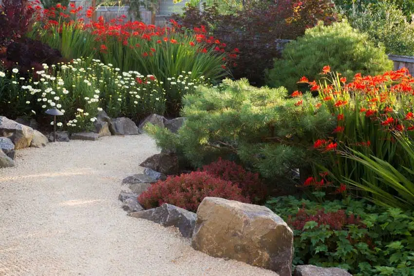 Outdoor garden and pathway filled with sand, hedge plants, and flowers