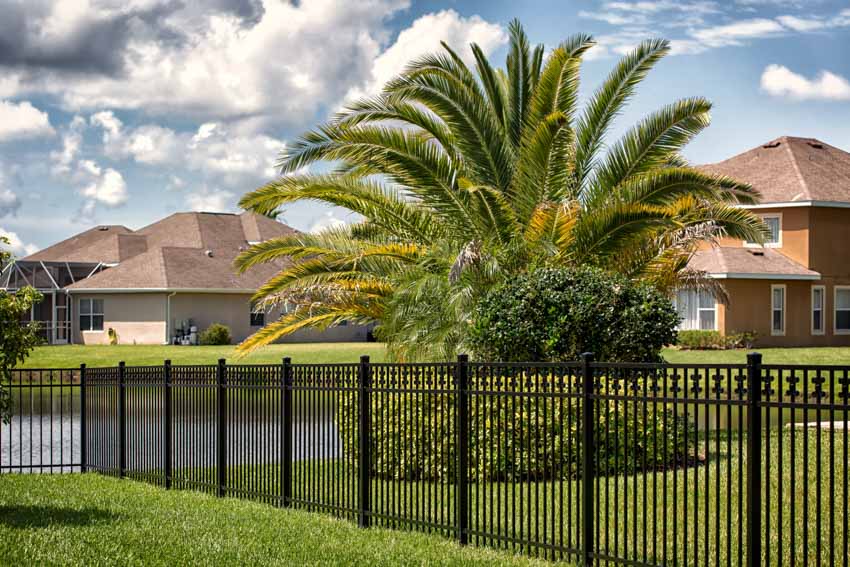 Residential outdoor area with palm tree, hedge plants, and a black metal fence