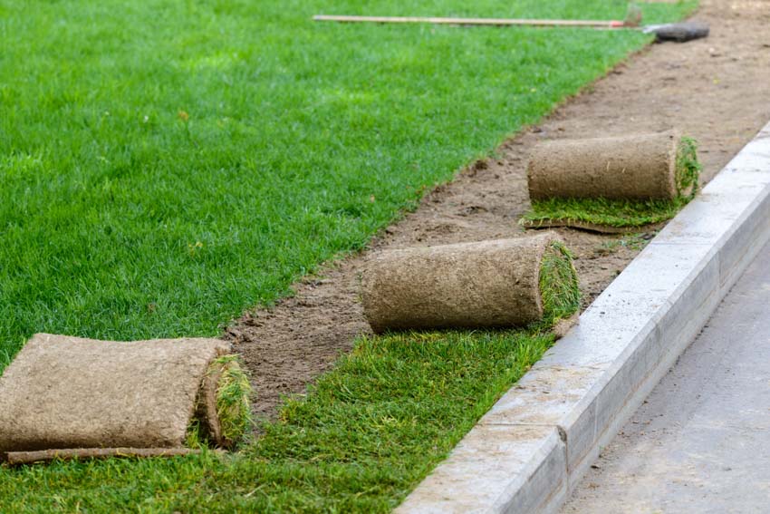 Several layers of sod grass being laid down on yard grounds