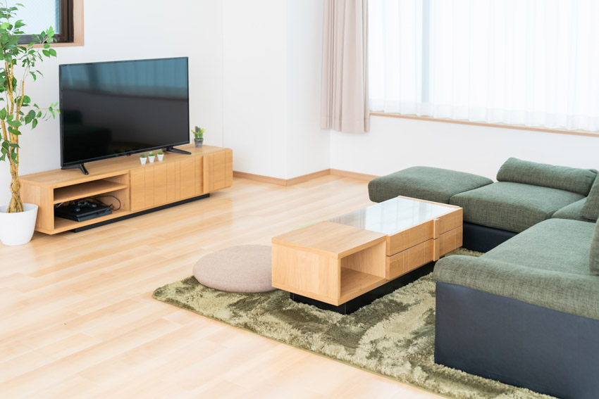 Simple living room with TV stand, light wood floors, coffee table, rug, couch, and window