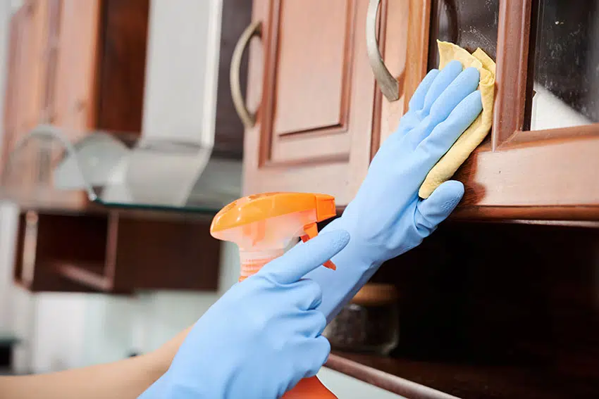 Cleaning cabinet
