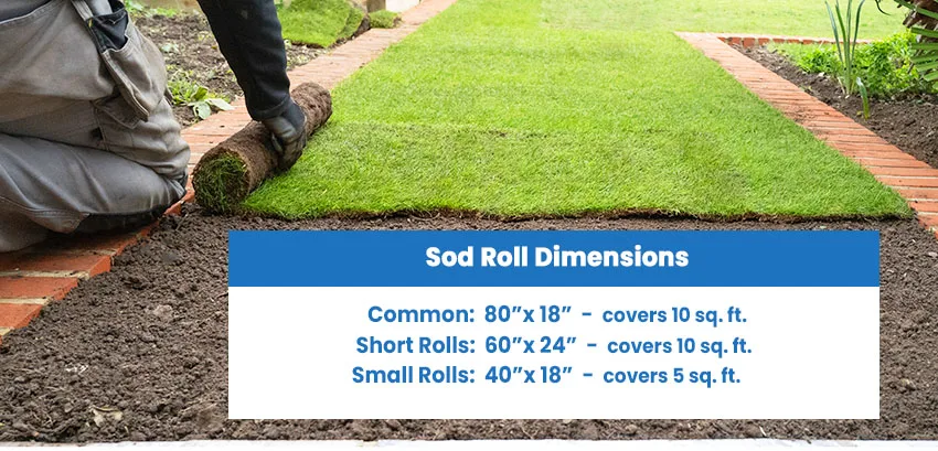 Sod roll dimensions