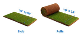 Sod Dimensions (Standard Pieces, Slab & Roll Sizes) - Designing Idea