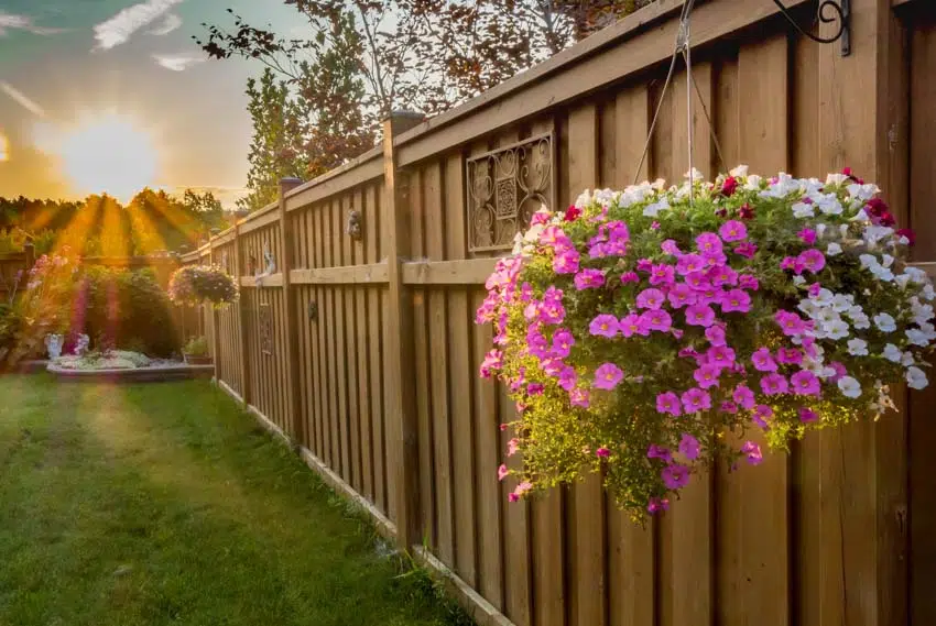 Grassy yard and hanging flower pot on fence